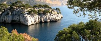 Обява 504 – ГАСТРОЕНТЕРОЛОГ в частна клиника в ПРОВАНС-АЛПИ-КОТ Д’АЗУР