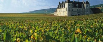 Offre 1125 – Poste pour médecin généraliste en Franche-Comté