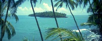 Offre 8973 – Poste de CARDIOLOGUE en Guyane Française