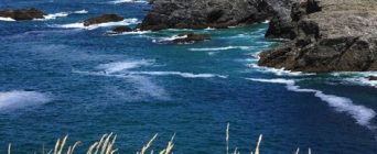 OFFRE 2056 – POSTE DE MÉDECIN ORL EN BRETAGNE