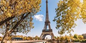 Poste d’assistant en Gynécologie Obstétrique à Paris