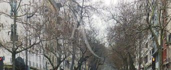 Offre 1575 D-Poste de médecin Ophtalmologiste salarié à Paris